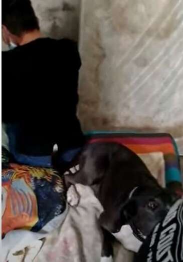 Rosa vive con sus mascotas en un inmueble con condiciones insalubres/TA.